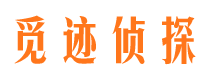 阜阳外遇出轨调查取证